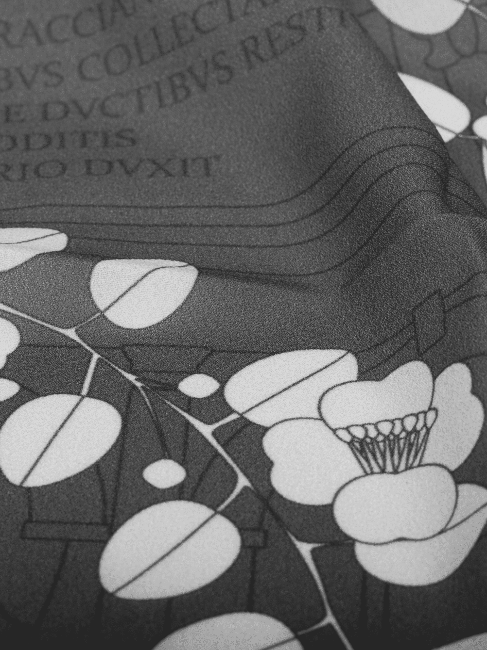 Pochette Fontanone e Tucano nero