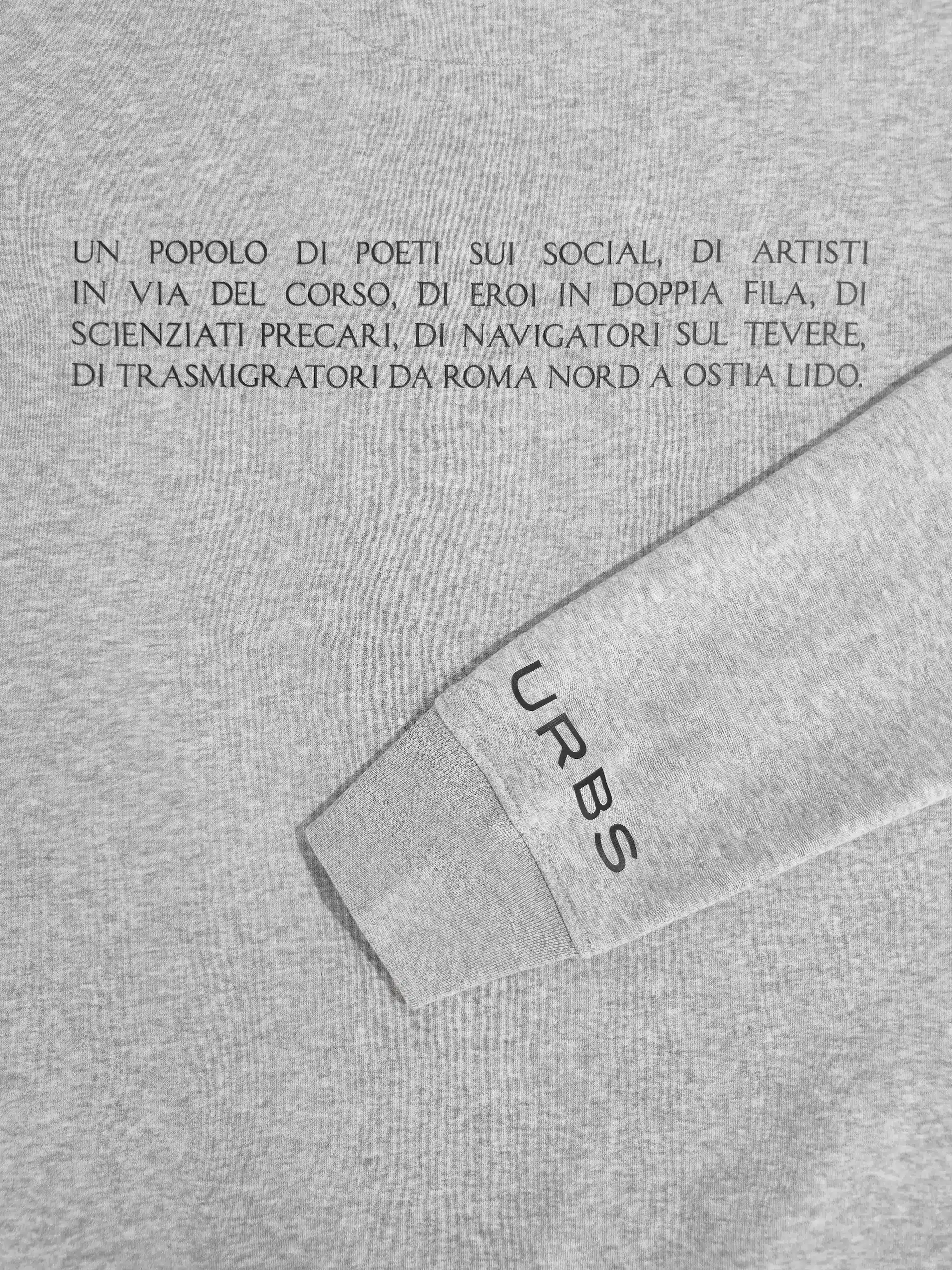 Felpa Scritta Grigia