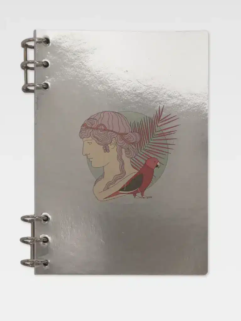 Quaderno Puella Argentata